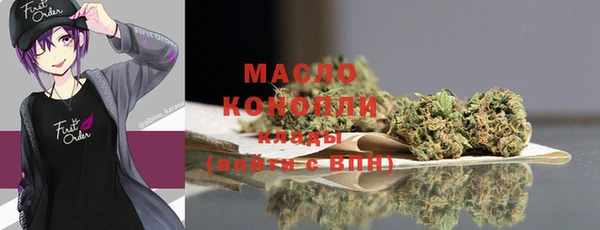 молекула духа Арсеньев