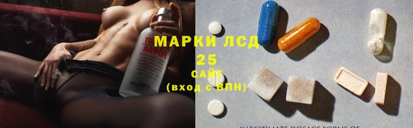 молекула духа Арсеньев