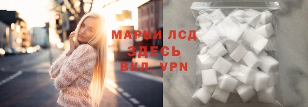 молекула духа Арсеньев