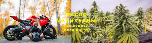молекула духа Арсеньев
